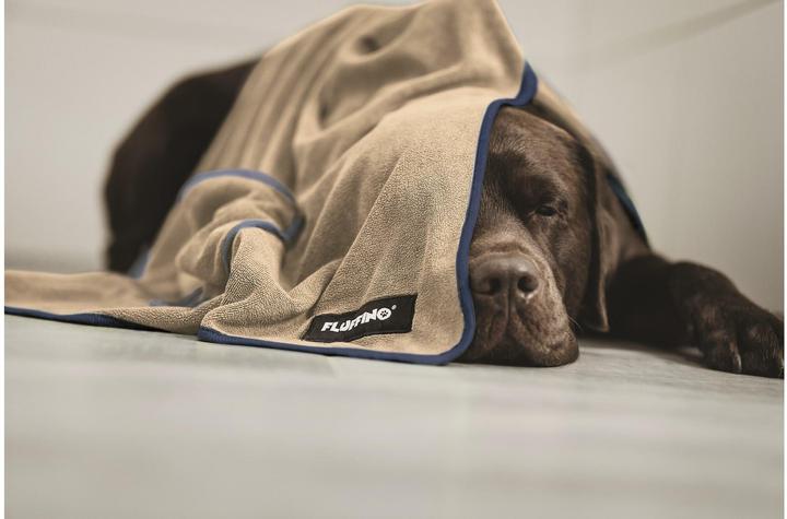 Image du produit Fluffino Set de serviettes pour chiens, Beige / Bleu, L (Chien)
