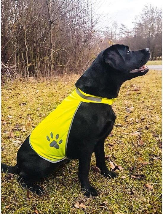 Immagine prodotto Korntex Gilet di sicurezza per cani (M)