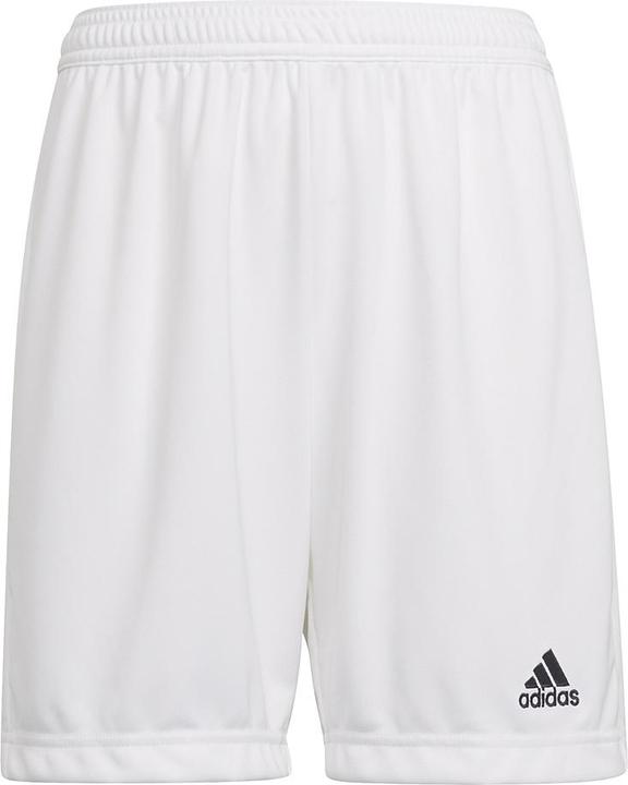 adidas Entrada 22 Shorts