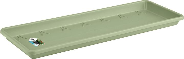 Pistachio green, Pistachios green