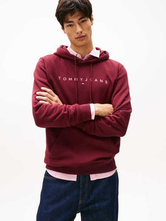 Produktbild Tommy Jeans Tjm Reg Linear Logo Hoodie Ext (M)