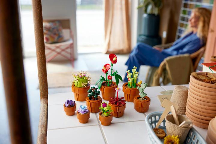 Immagine prodotto LEGO Mini piante (10329, LEGO Icons, LEGO Botanical)