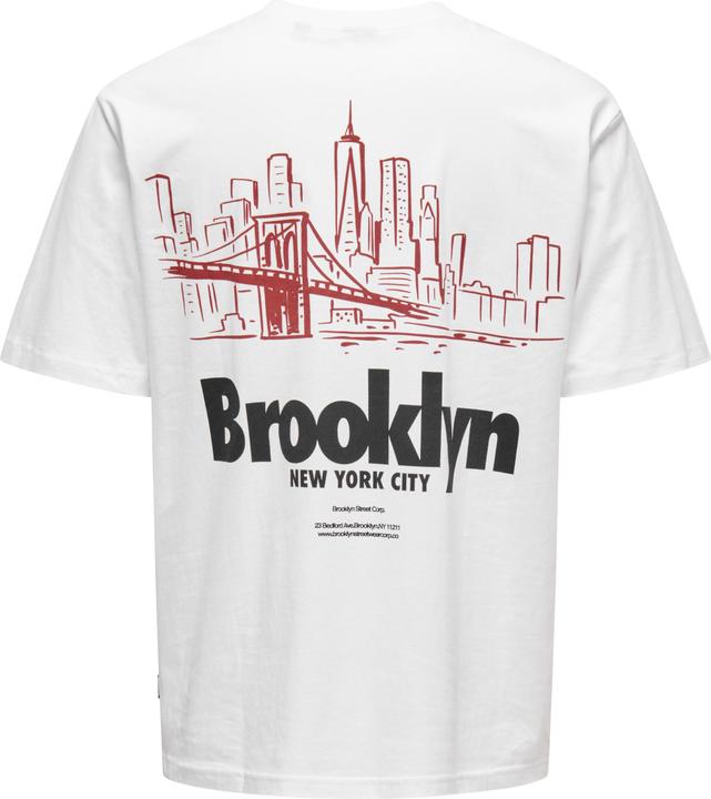 Image du produit Only & Sons Onskeane Rlx Ss Print Tee Noos (M)