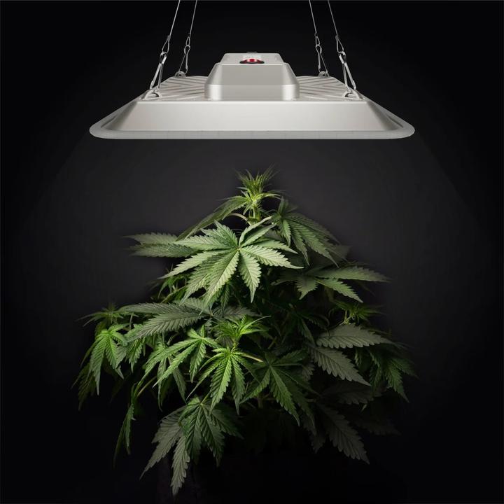 Produktbild Greenception Gc-Pure (LED)