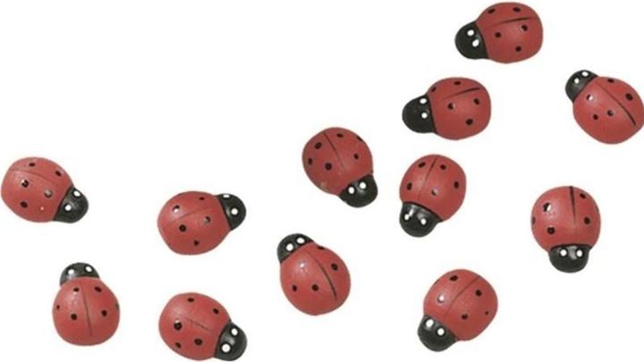 Image du produit Knorr Prandell Coccinelle (12 pcs)