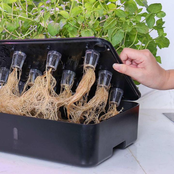 Actual product image Litrax ROBIN Smart Garden 12 (35 x 26 x 30 cm)