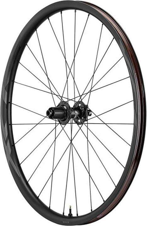 Giant XCR 2 MTB Carbon 29 - Hinterrad (Hinterrad, 29")