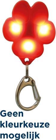Actual product image Trixie Flasher USB (Dog, Dog sport)