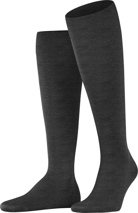 Anthracite melange