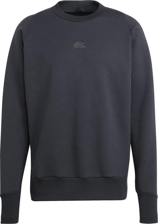 Actual product image adidas M Z.N.E. PR Crew (S)