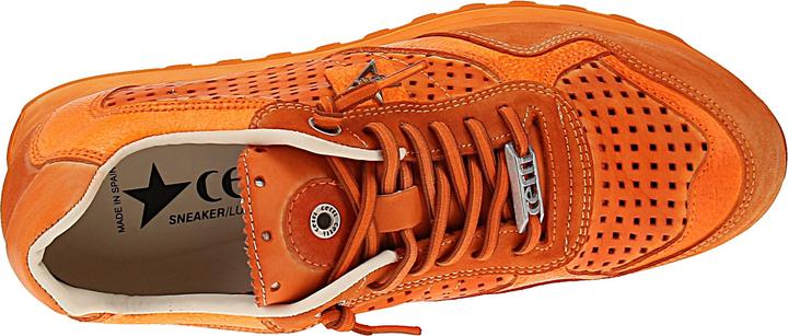 Image du produit Cetti C-848 V26 (41)