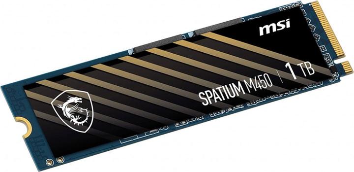 Actual product image MSI Spatium M450 (1000 GB, M.2 2280)