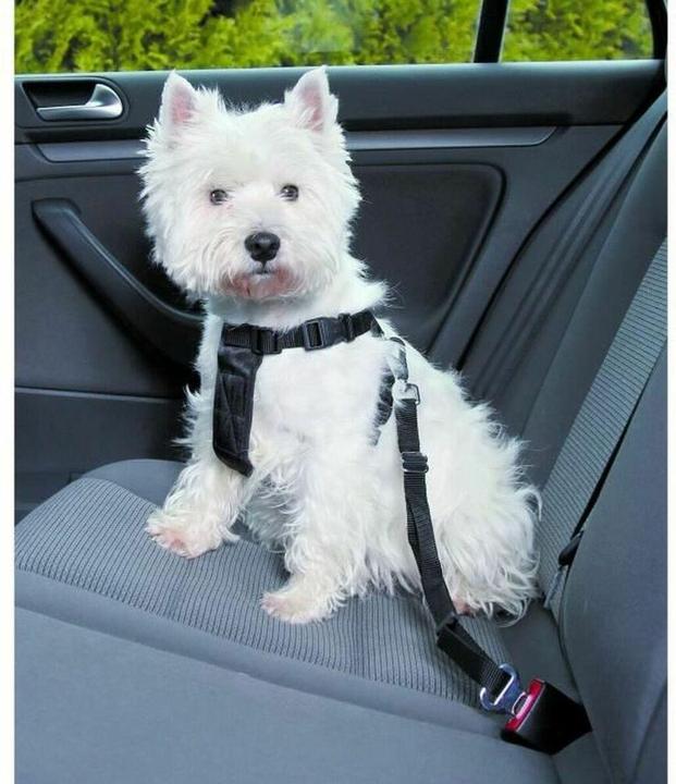 Actual product image Trixie Car harness (Dog, Reflectors)