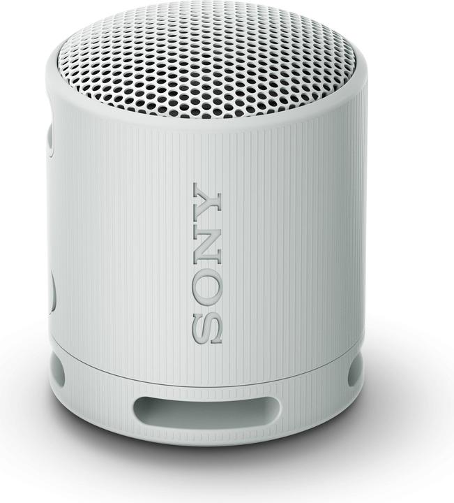 Sony SRS-XB100 (16 h, Rechargeable battery operated)