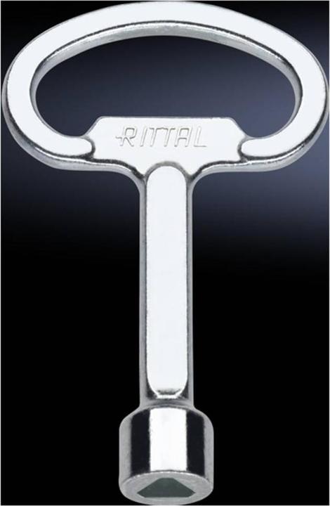 Actual product image Rittal Control cabinet key