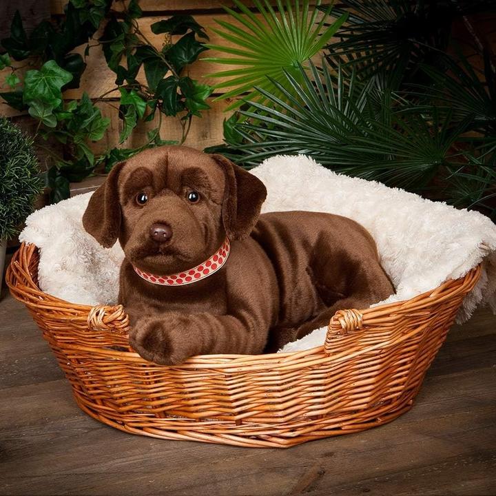 Image du produit Living Nature Giant Choco Labrador (60 cm)