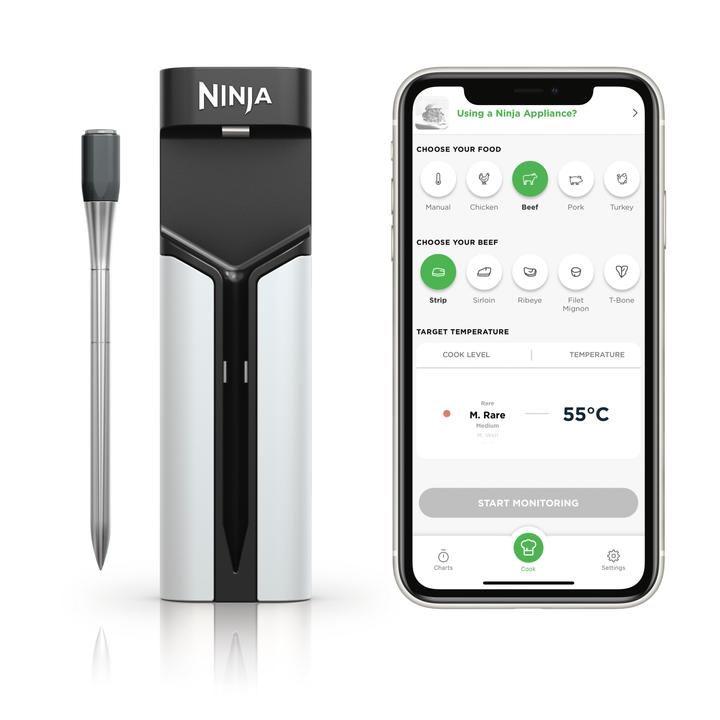 Productafbeelding Ninja WP100EU