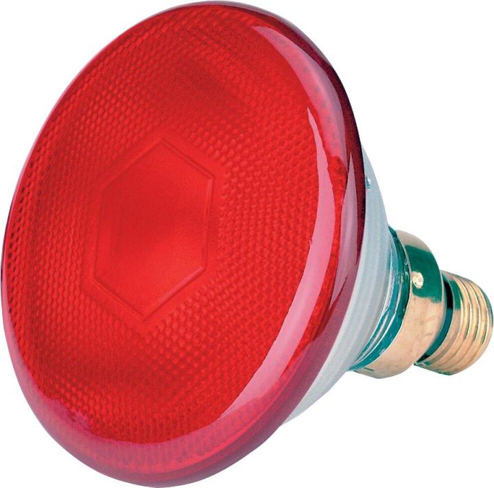 Actual product image Kerbl Infra economy lamp (175 W)