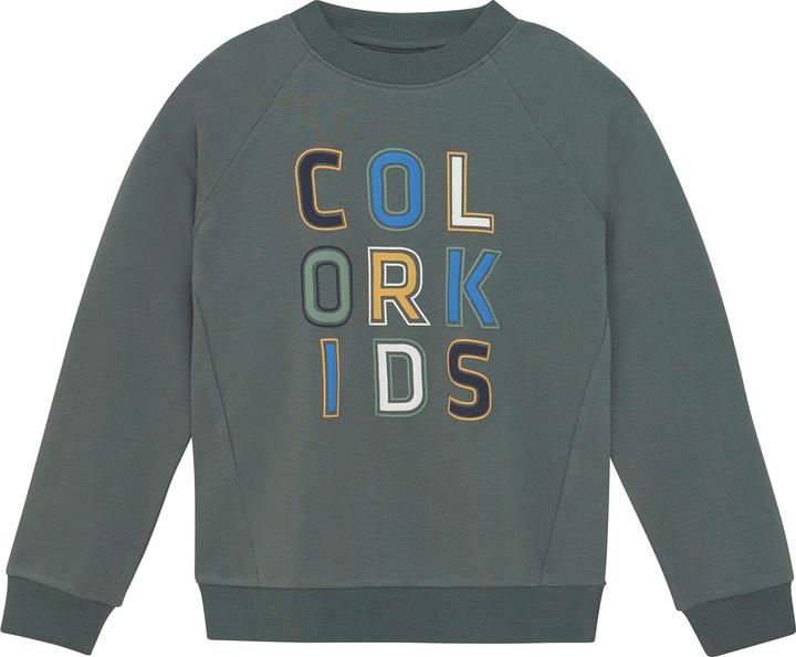 Immagine prodotto Color Kids Logo Print (122)
