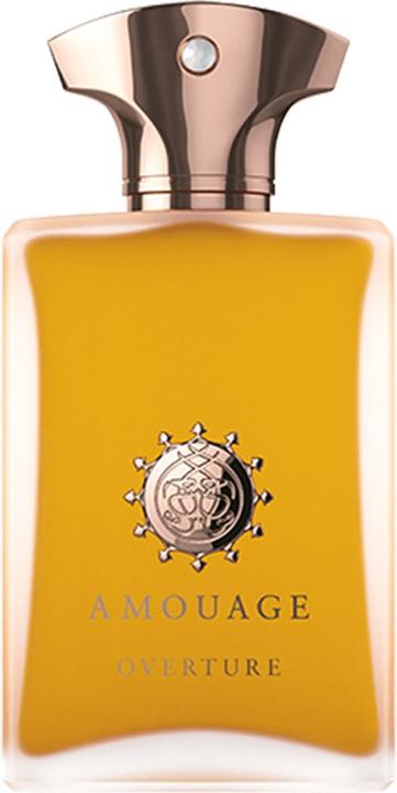 Amouage Overture (Eau de Parfum, 100 ml)