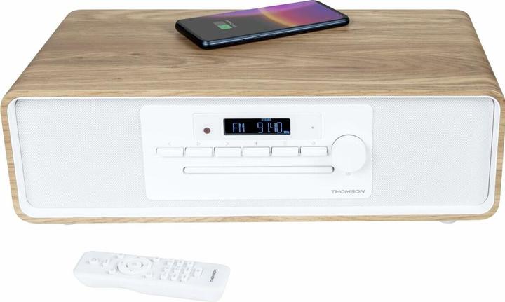 Thomson MIC301IBT (Bluetooth, 1x 60 W)