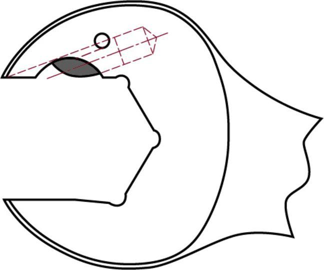 Produktbild Kraftwerk D-CLICKRAFT Gabelring-Ratschenschl.