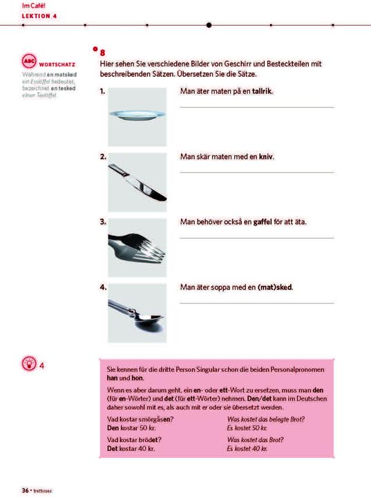 Actual product image Power-Sprachkurs Schwedisch (German, Swedish, 2025)