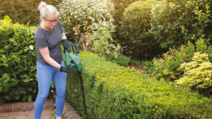 Immagine prodotto Bosch Home & Garden EasyHedgeCut 18-45 (Tagliasiepi a batteria)