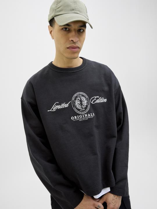 Produktbild Jack & Jones Jordia Sweat Crew Neck Ss25 (S)