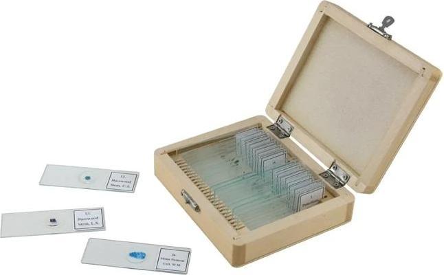 Celestron CM44410-DS accessory for microscope Glass slide