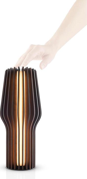 Produktbild Eva Solo Radiant (135.75 lm)