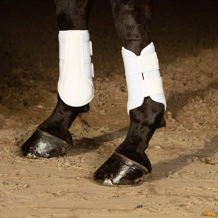 Actual product image Harry's Horse Beenbeschermers Flextrainer Air mesh