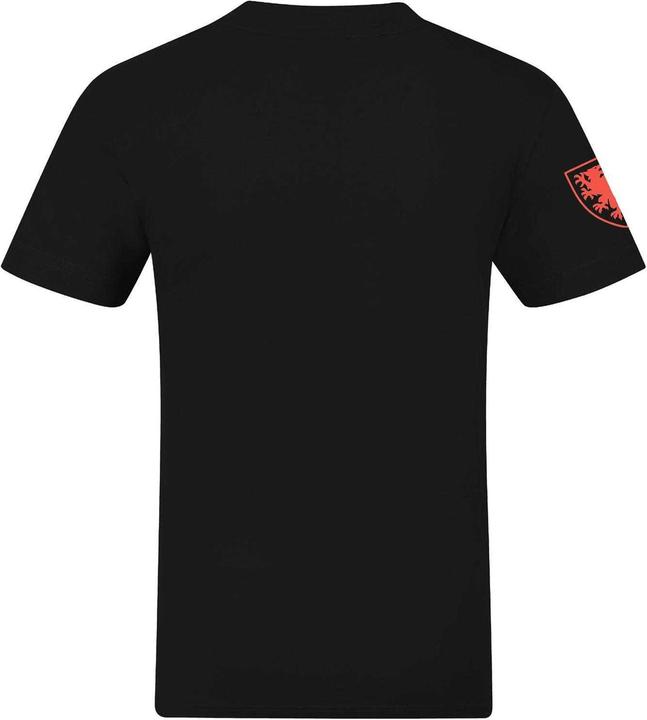 Produktbild FA Wales TShirt (M)