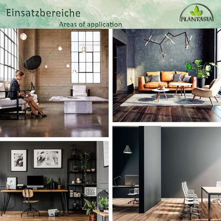 Immagine prodotto Plantasia Ficus Benjamin (190 cm)