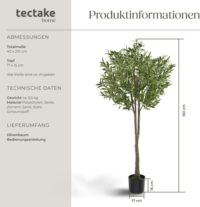 Image du produit tectake Olivenbaum Oleand (150 cm)