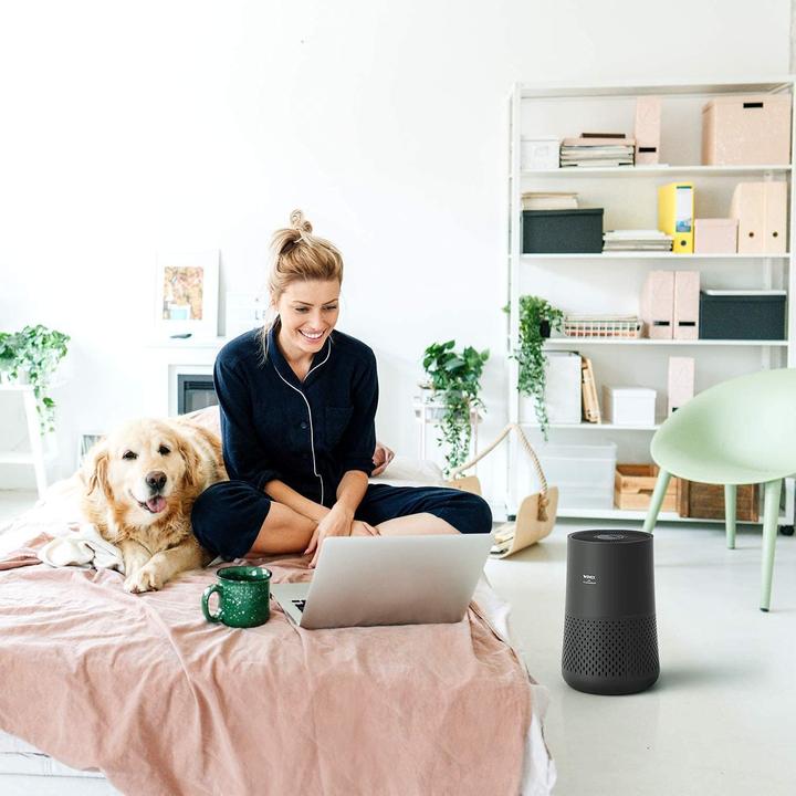 Actual product image Winix A330 Lynx cleaner. CADR 228 m/h (tot 45 m), H13 HEPA filter + Koolstofffilter, works against (45 m²)