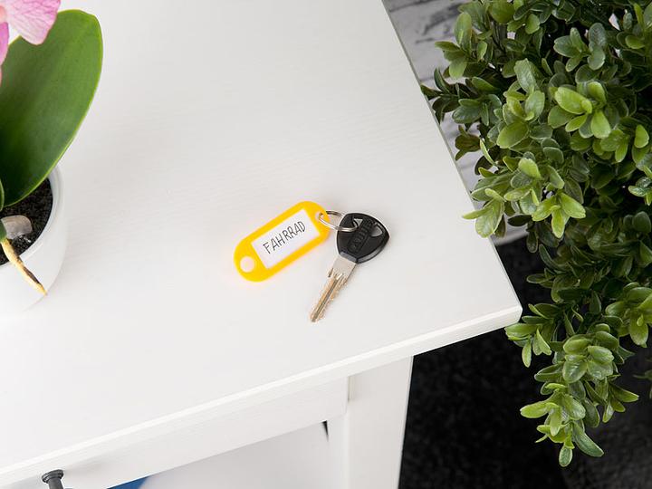 Actual product image Pearl Key plates with key rings
