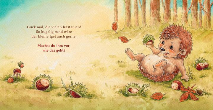 Produktbild Schlaf schön, kleiner Igel (Deutsch, Sophie Schoenwald, 2018)
