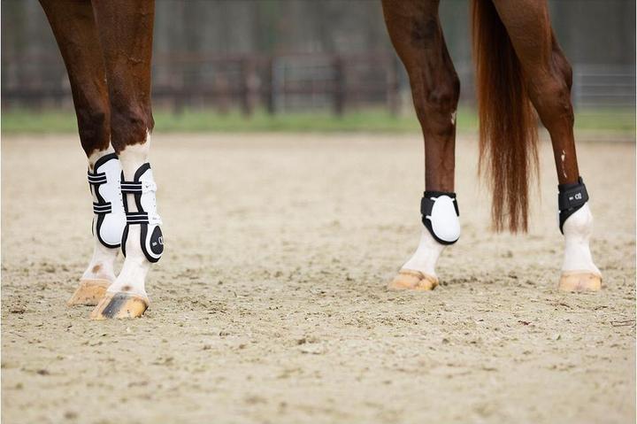 Produktbild BR Equestrian Equipment XO2 (One Size)