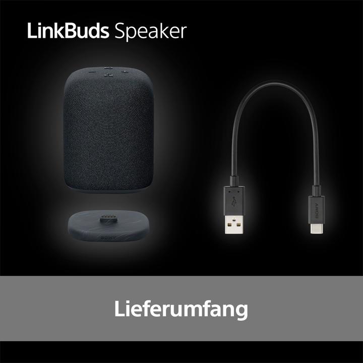 Productafbeelding Sony SRS-LS1 (25 h, Oplaadbare batterij)
