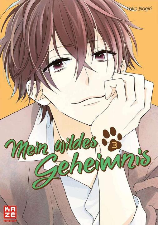 Actual product image Mein wildes Geheimnis 03 (German, Yoko Nogiri, 2018)