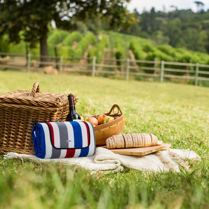 Immagine prodotto Relaxdays Coperta da picnic