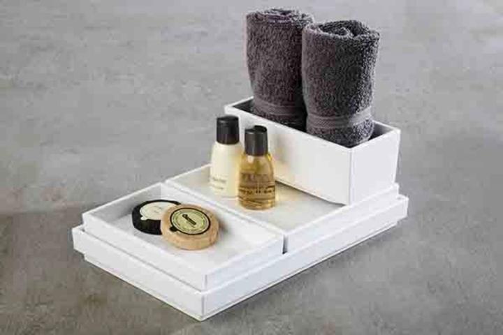 Actual product image APS ASIA PLUS" tray