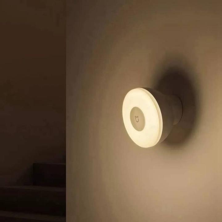 Actual product image Xiaomi Mijia 2