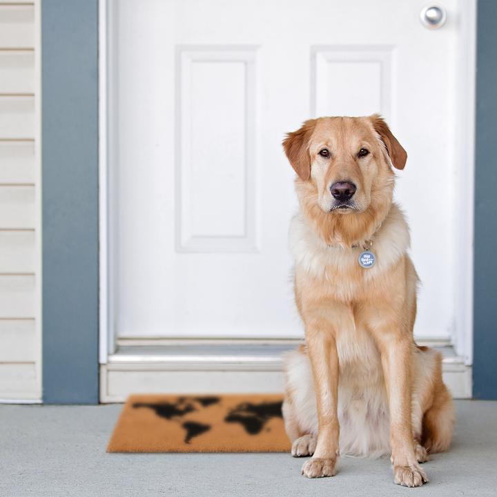 Actual product image Relaxdays coir doormat (60 x 40 x 1.5 cm)