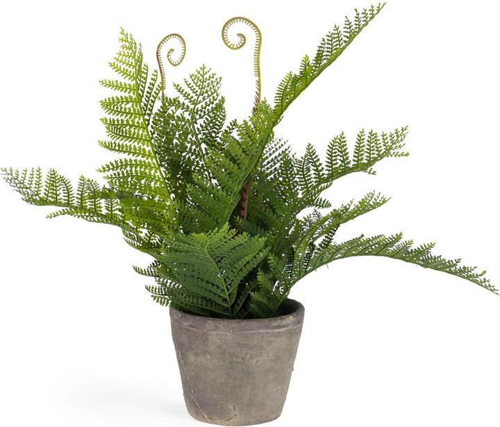 Kave Home Filicopsida (35 cm)