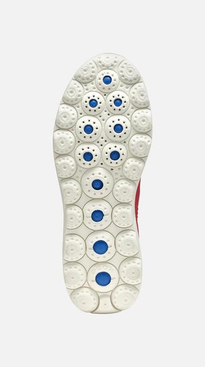 Image du produit Geox Spherica Plus (38)