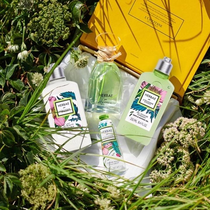Actual product image L'Occitane Herbae Beauty Milk (Body lotion, 250 ml)