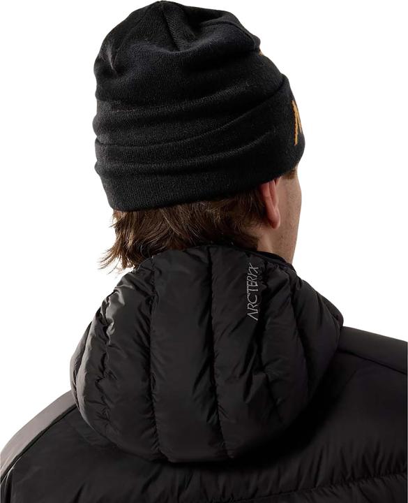 Produktbild Arc'teryx Bird Word