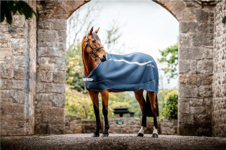 Horseware Dry Liner sweat rug (145 cm)